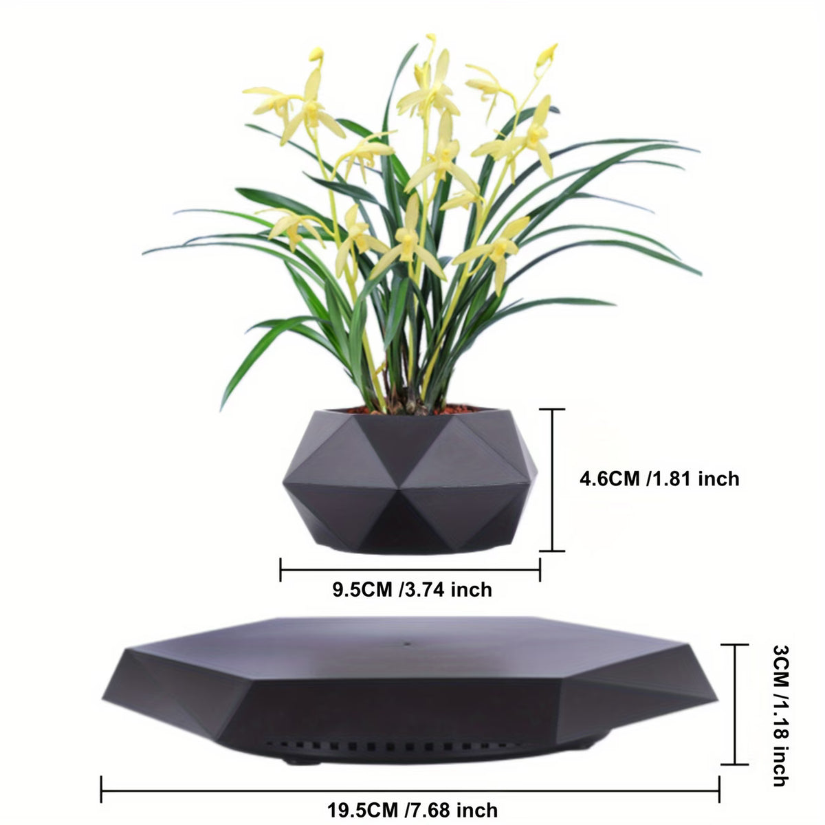 Ark & Oak™ Gravity Planter