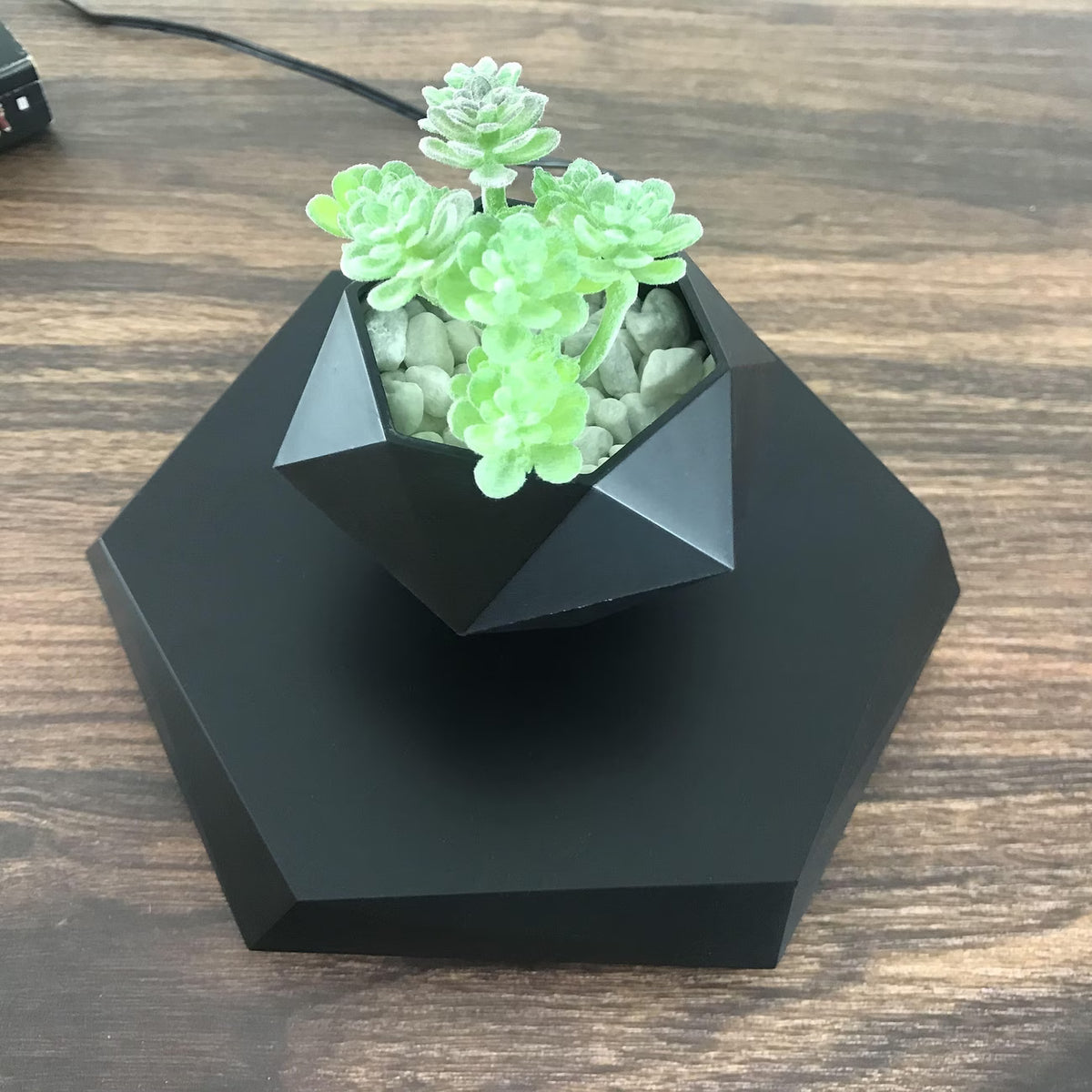 Ark & Oak™ Gravity Planter